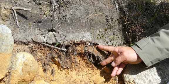 Arnika, Ötzi & Co.. | © Thomas Schmarda