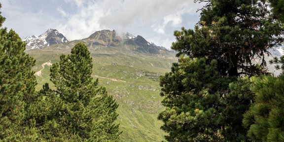 Wanderweg zum Hörnle_ergebnis - Venter Hörnle - der Gams entgegen