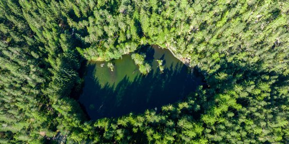 Blick von oben - Winkelbergsee - Längenfeld
