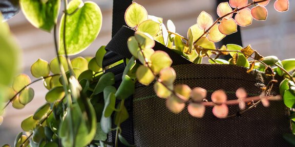 glanzer-soelden-style_fashion_shop_mode_store_styl - Glanzer Sportboutique | Shop 12 - Sölden