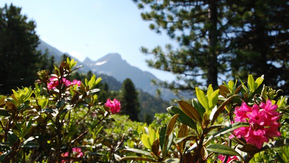 Ötztal Tourismus Büro Oetz