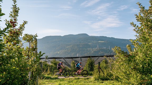 Ötztal Radweg Haiming - Ötztal