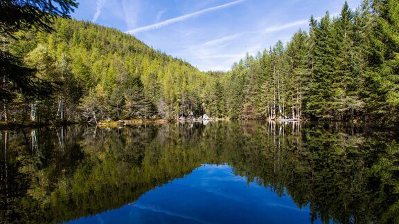 Winkelbergsee - Katharina Nösig