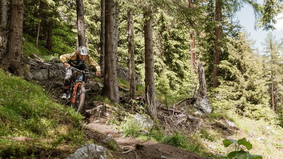 Leiterberg Trail - Rudi Wyhlidal