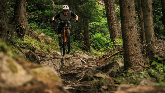 Leiterberg Trail - Wayne Reich