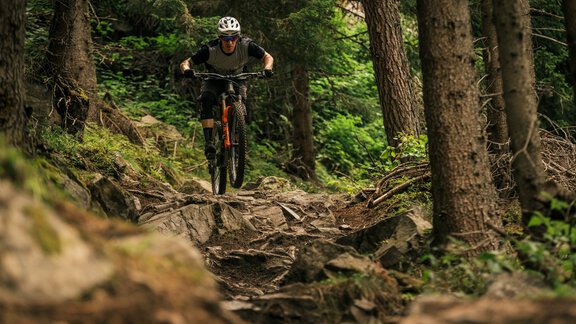 Leiterberg Trail - Wayne Reich