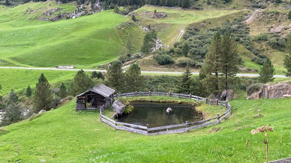 See im Feld Richtung Vent - Nicole Klotz