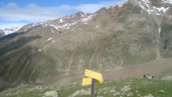 Signpost to the Wild Man - Bianca Klotz
