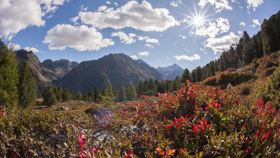 Winnebachspitzen - Gästehaus Elisabeth - Gries