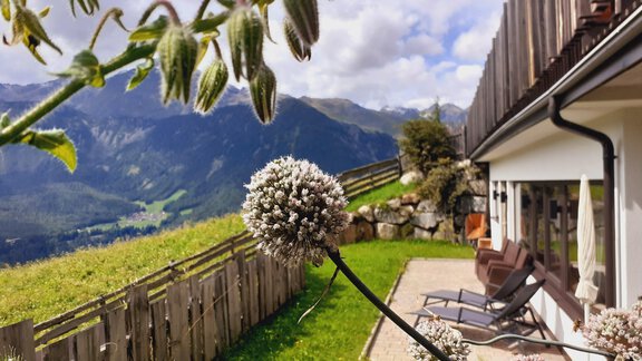 Liegebereich Wellness Sonnenterrasse - Bio & Reiterhof der Veitenhof - Niederthai