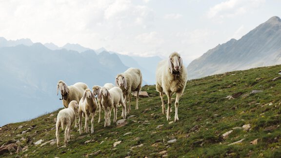 gurgl_kampagne_sommer_roman_huber_Tag 1_14_23 (lar - Apart Talblick - Sölden