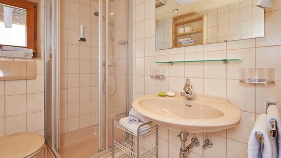 Ein modernes Badezimmer mit einer Dusche, einem Waschbecken und einem WC. Die hellen Fliesen und das große Fenster sorgen für eine freundliche Atmosphäre. - Appartement Schwalbennest - Sölden
