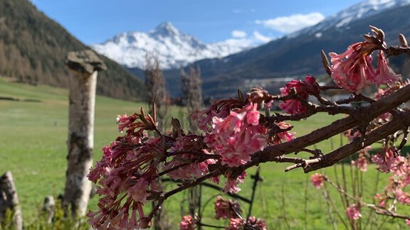 Frühlingsbeginn in Sölden - Appt. Ideal - Sölden