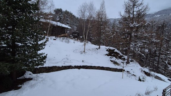 Eine verschneite Landschaft mit Tannenbäumen und einem grauen Himmel. Im Vordergrund ist eine Schneedecke zu sehen. - Appt. Wildschütz - Sölden