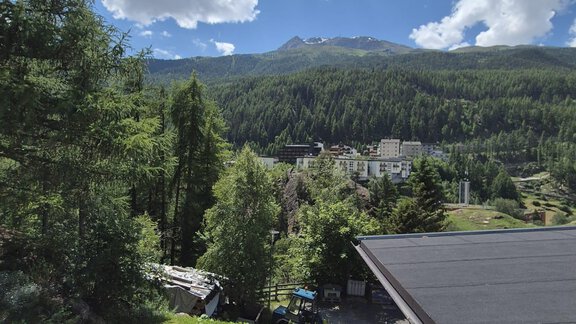 Eine malerische Berglandschaft mit grünen Bäumen und einem klaren Himmel. Im Vordergrund sind eine Treppe und die Ansicht eines Hauses zu sehen. - Appt. Wildschütz - Sölden