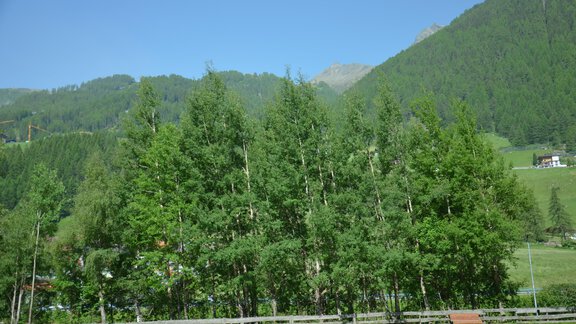 Aussicht Sommer - Garni Columbia - Sölden