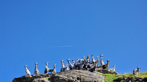 Berge Blobe Goas - Granbichlhof - Sölden