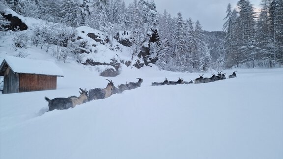 20231202_162440(0) - Granbichlhof - Sölden