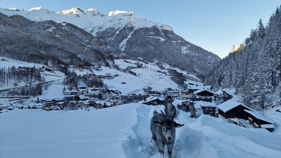 20231203_154355 - Granbichlhof - Sölden