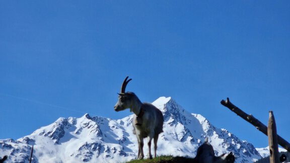 20240511_094246 - Granbichlhof - Sölden