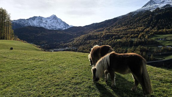 1000132976 - Granbichlhof - Sölden