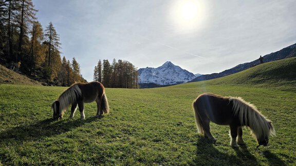 1000133061 - Granbichlhof - Sölden