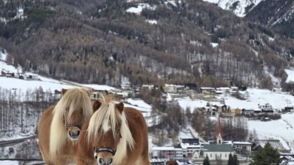 1000145346 - Granbichlhof - Sölden