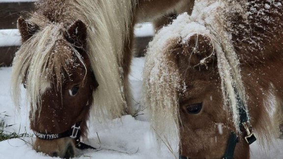 1000155633 - Granbichlhof - Sölden