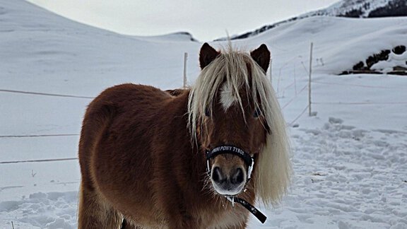 1000145326 - Granbichlhof - Sölden