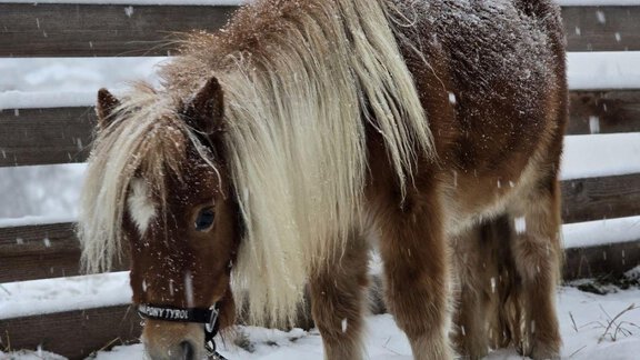 1000154748 - Granbichlhof - Sölden