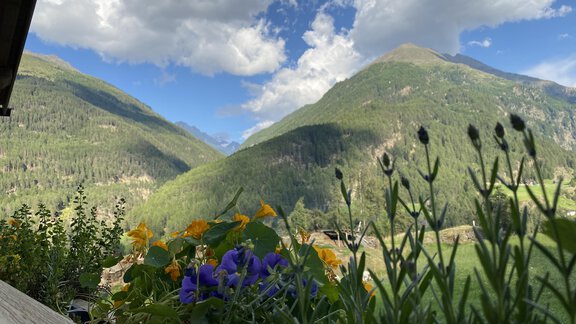 Aussicht Sommer - Haus Florian - Sölden