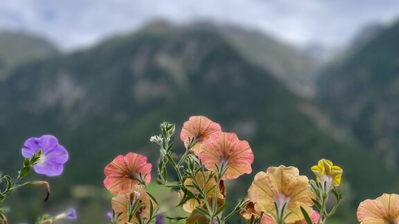 IMG_2184_jpg - Haus Nesselhof - Sölden