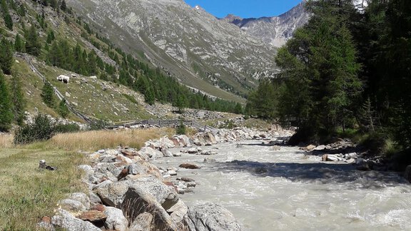 Wanderung ins Windachtal - Michls Hoamat Appartement - Sölden