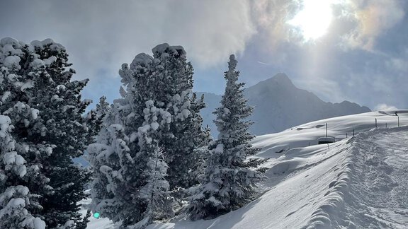 auf dem Weg zur Heidealm mit Blick zum Nederkogel - Top Apart Daniela - Sölden