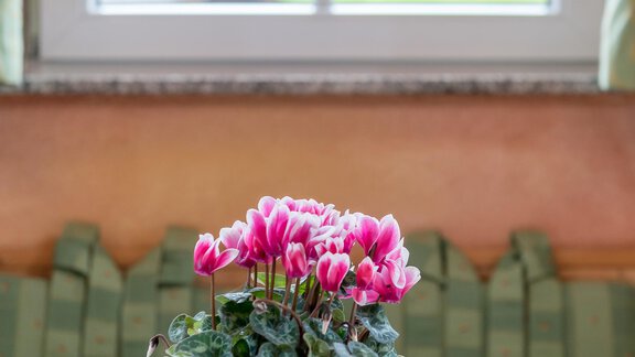 180824_160902 - Villa Castelbell - Sölden