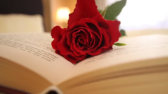 IMG_0150 - Gästehaus Edelweiss - Vent