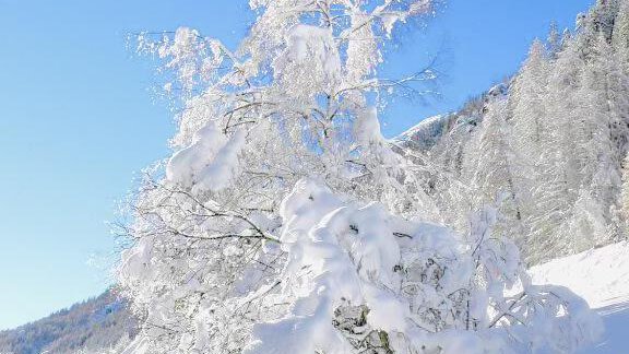 79710231 - Haus Freistabl - Vent