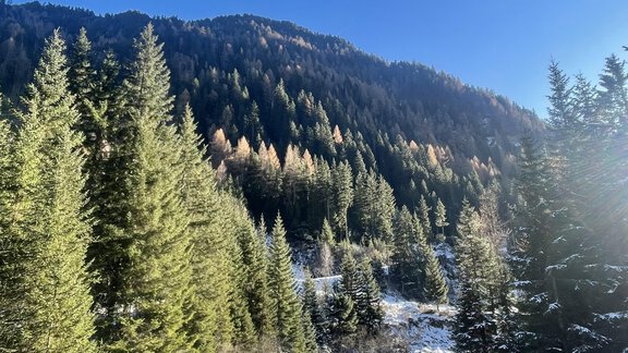 Winter6 - Alpenfels - Zwieselstein
