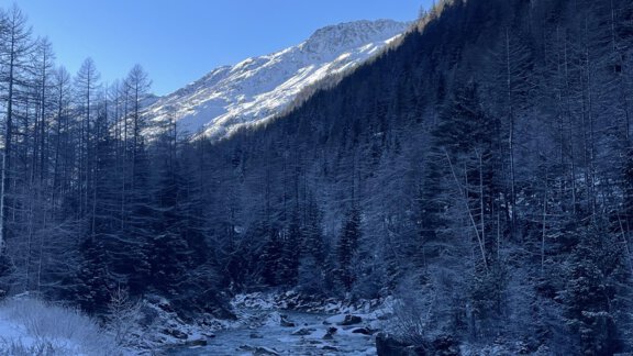 Winter8 - Alpenfels - Zwieselstein