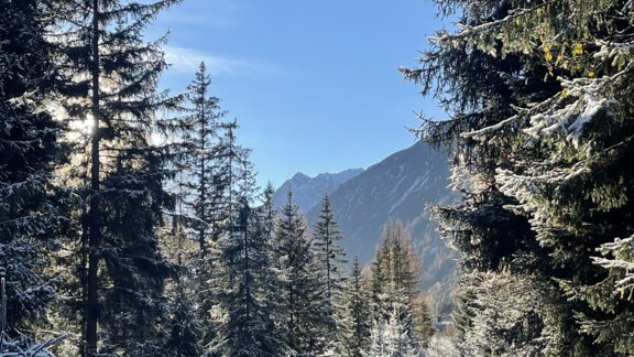 Winter4 - Alpenfels - Zwieselstein