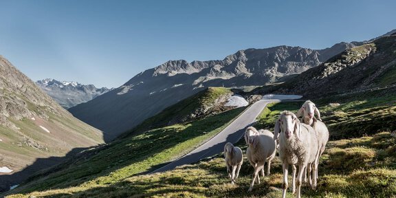 Timmelsjoch 4 - Timmelsjoch-Hochalpenstraße & Timmelsjoch Erfahrung - Hochgurgl