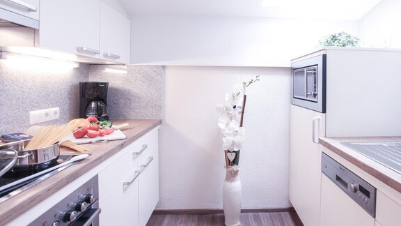 Panorama Typ Ötztal - Appartements Panorama - Längenfeld