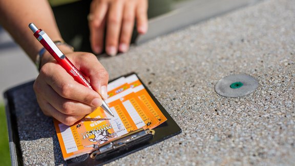 Panorama Minigolf - Appartements Panorama - Längenfeld