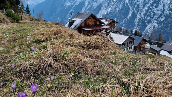 Almhütte - Almhütte Chrisanten Thaya Sölden - Sölden