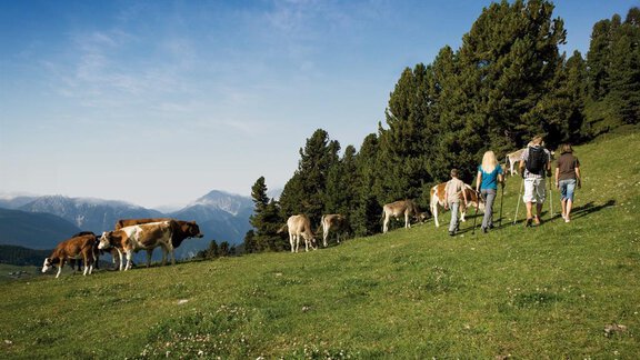 NATUR PUR - Appartement  Fabio - Sölden