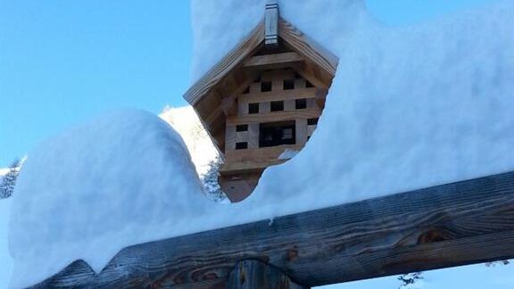 Weisses"GOLD" - Appartement  Fabio - Sölden