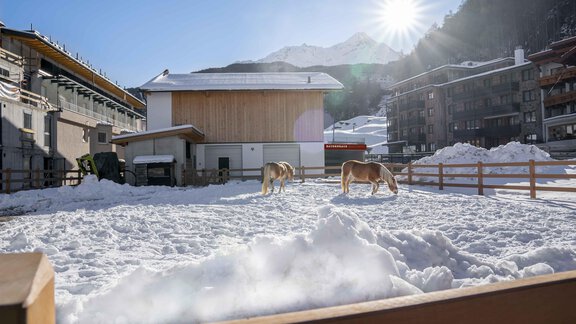 Martinus104 - Bauernhaus Martinus - Sölden