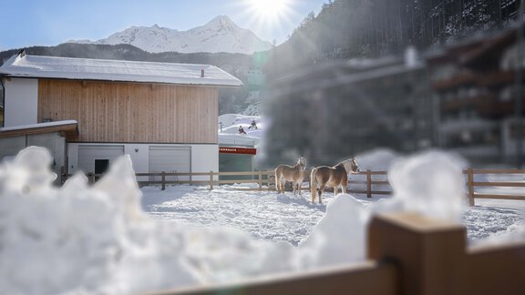 Martinus105 - Bauernhaus Martinus - Sölden