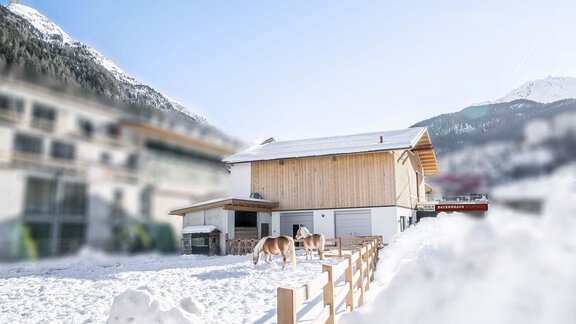 Martinus110 - Bauernhaus Martinus - Sölden