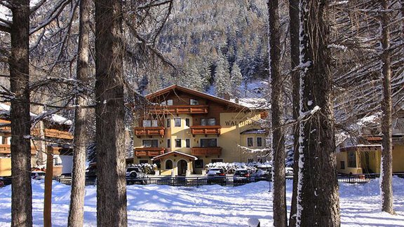 Winter-Haus - Ferienhaus Waldele - Sölden